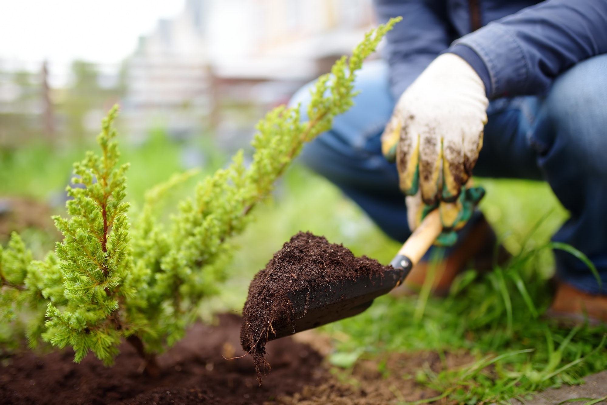 Finding the Best Garden Centres and Landscaping Companies Near Me post thumbnail image