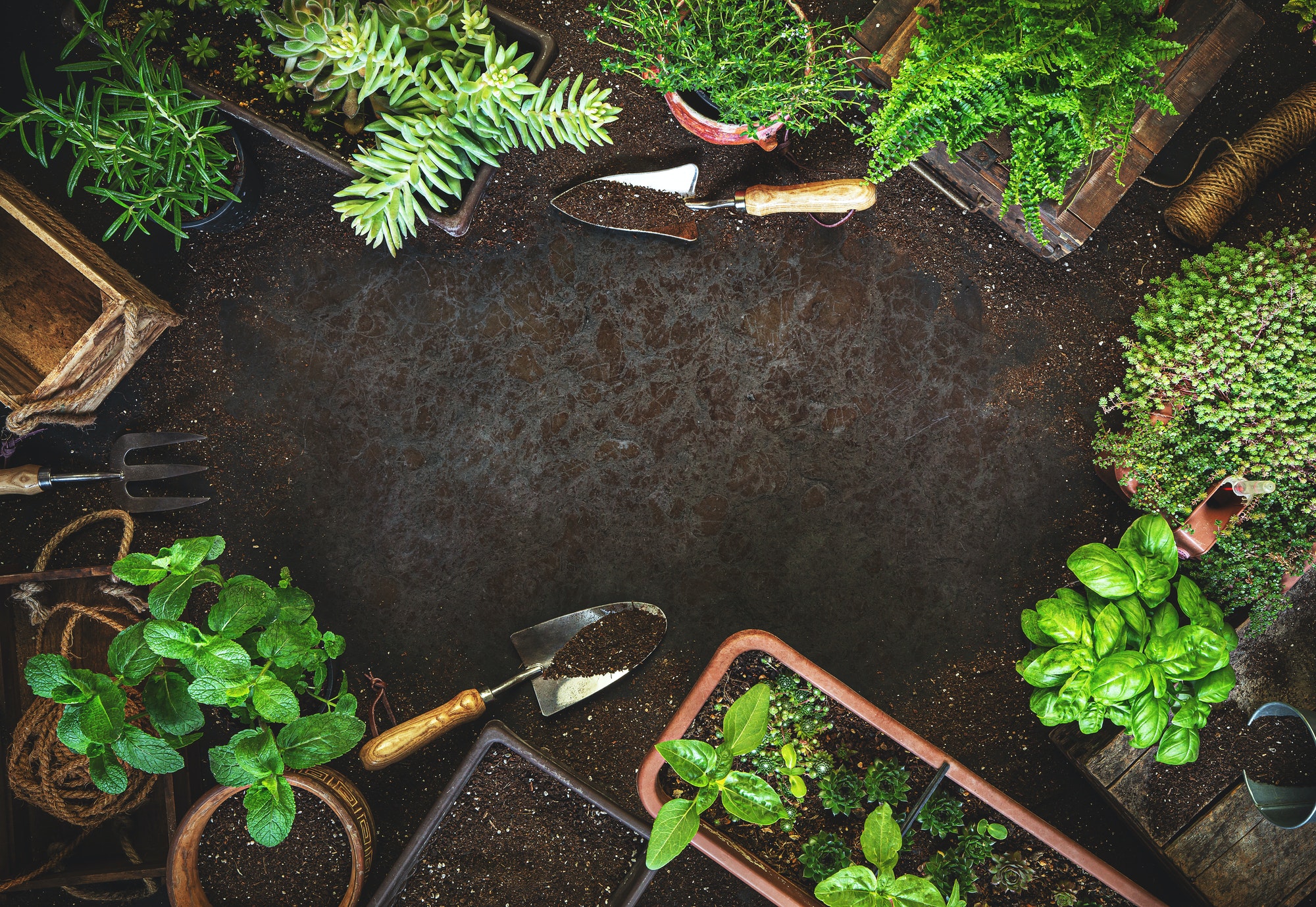 5 Tips For Gardening Centres post thumbnail image