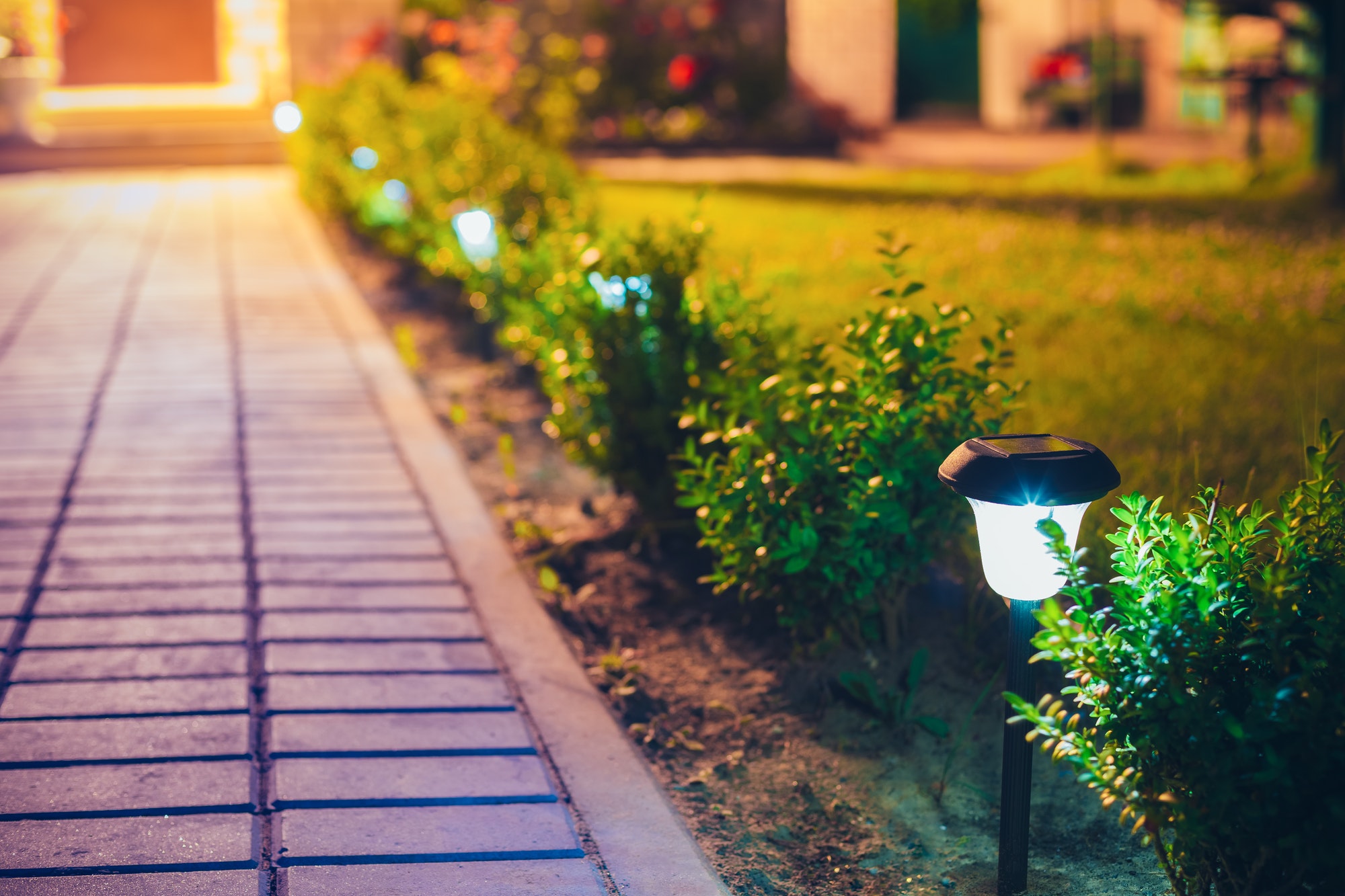 How to Find the Best Garden Retailers and Landscape Lighting Companies post thumbnail image