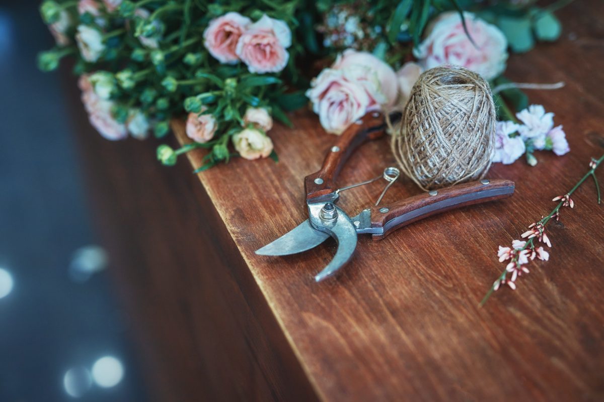 Still life of flowers and garden scissors